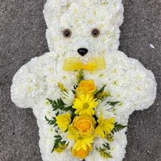 Teddy Bear 