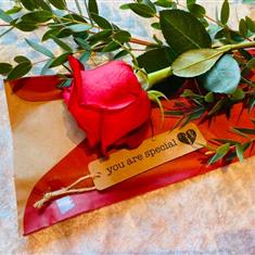 Single Red Rose in cello