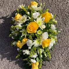 Yellow and White spray