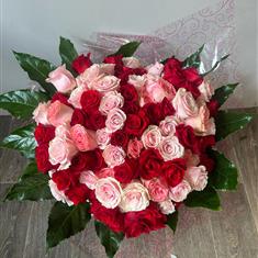 100 Red &amp; Pink roses