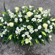 White Coffin Spray