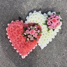 Double Heart
